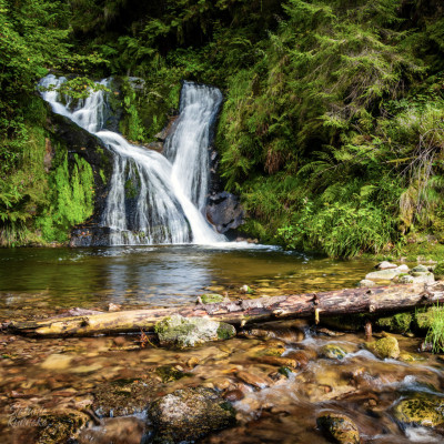 20250905-IMG_3731-Bearbeitet