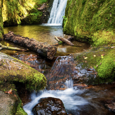 20250907-IMG_3811-Bearbeitet