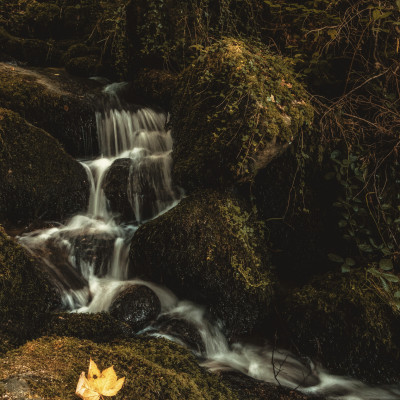 20250908-IMG_3865-Bearbeitet