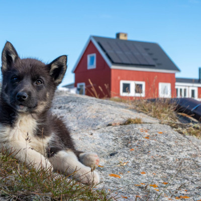 Grönland, Oqaatsut (Foto: Rainer Skrovny / ARR Reisen)