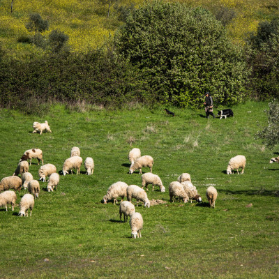 30-©FRANZGERDL-Nord-Portugal_7987