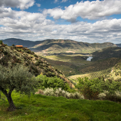 32-©FRANZGERDL-Nord-Portugal_8133