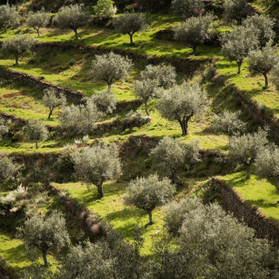 33-©FRANZGERDL-Nord-Portugal_8139