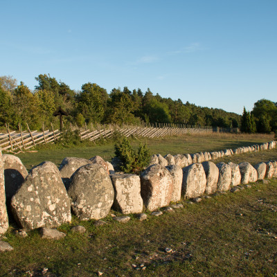 (c) Christine Emberger