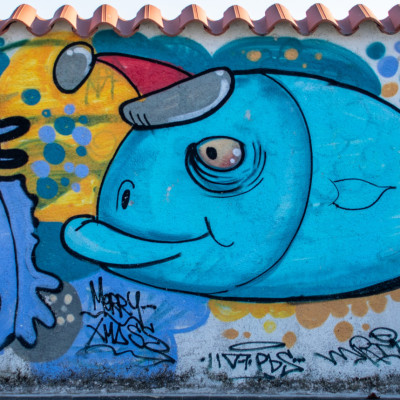 Piran, Foto: (c) Rainer Skrovny