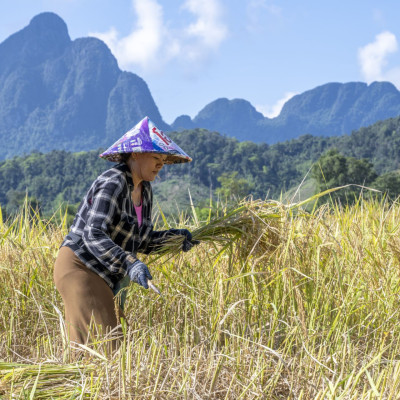 04_LAS_2358 04_LAS_2358