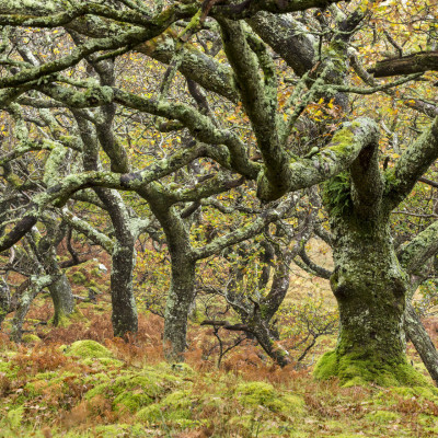 Schottland (Foto: Marc Graf)