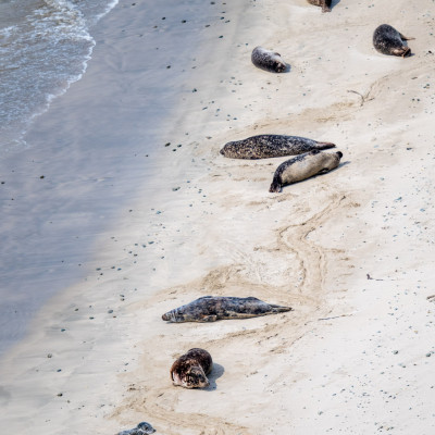 (Foto: Rainer Skrovny, ARR Reisen)