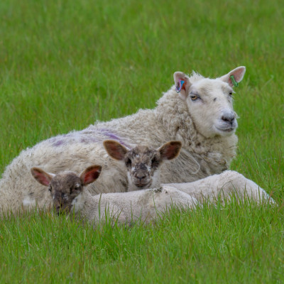 (Foto: Rainer Skrovny, ARR Reisen)