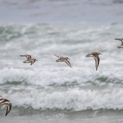 (Foto: Rainer Skrovny, ARR Reisen)