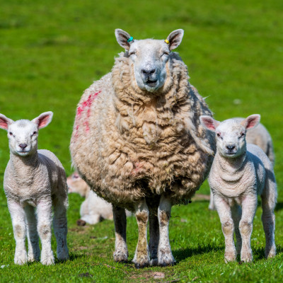 (Foto: Rainer Skrovny, ARR Reisen)