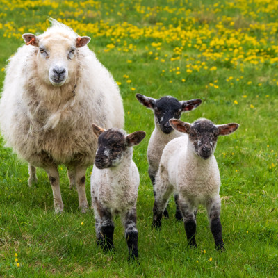 (Foto: Rainer Skrovny, ARR Reisen)