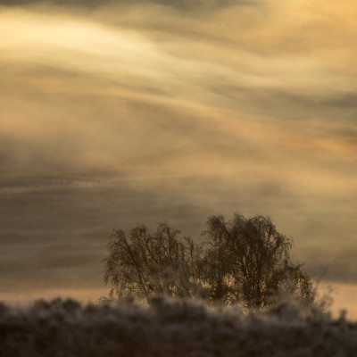 Schottland (Foto: Marc Graf)