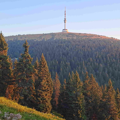 Altvatergebirge-Wetterfichten_Gipfel-Altvater / Foto: DI Siegfried Ellmauer