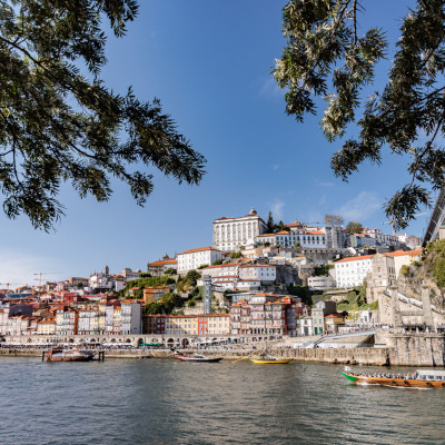 FotoAlexanderMüller-AM5_7520