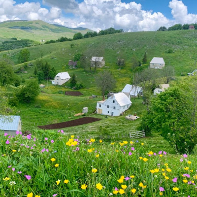 Durmitor Pisce