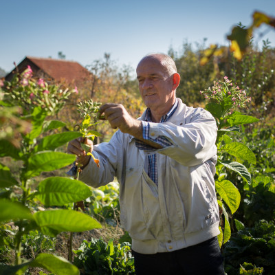 Honey and wine farm Jablan_Montenegro_food tour (1)