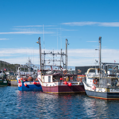 Neufundland (Foto: Rainer Skrovny / ARR Reisen)