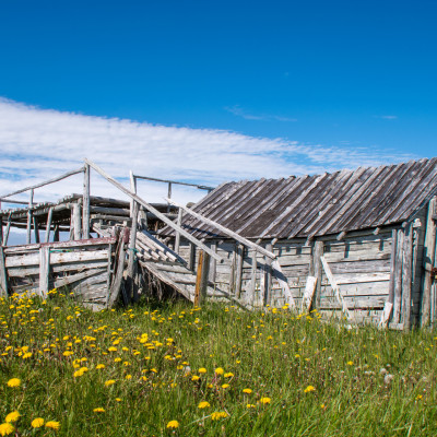 Neufundland (Foto: Rainer Skrovny / ARR Reisen)
