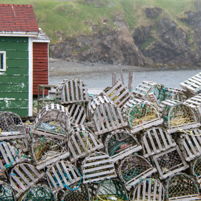 Neufundland (Foto: Rainer Skrovny / ARR Reisen)