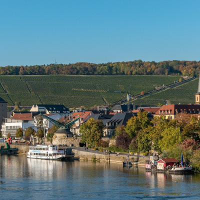 ringelbaer-city-6665488_1920
