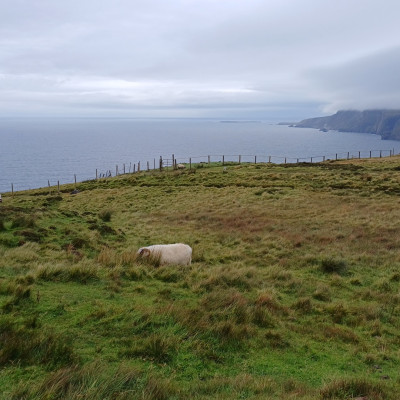 Irland (Foto: Reinhard Wogritsch / ARR Reisen)