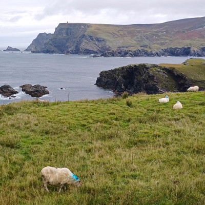 Irland (Foto: Reinhard Wogritsch / ARR Reisen)